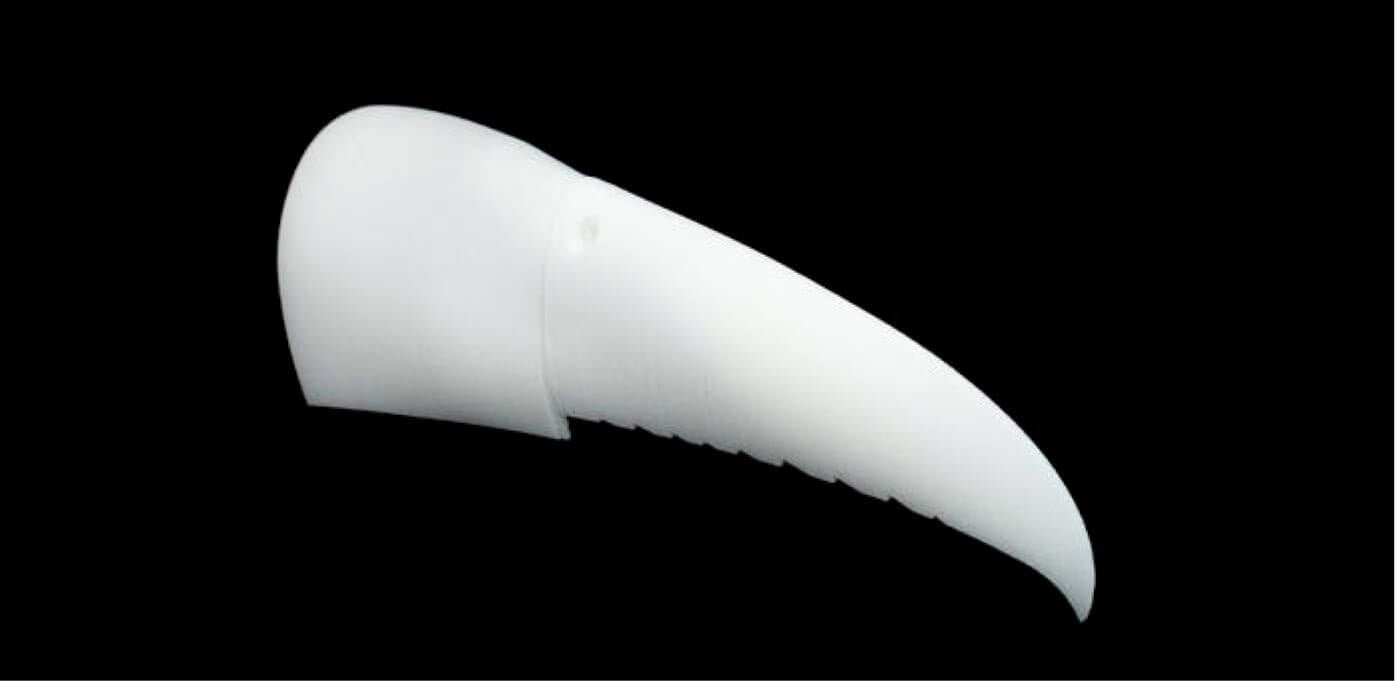 3D-printed beak prosthesis