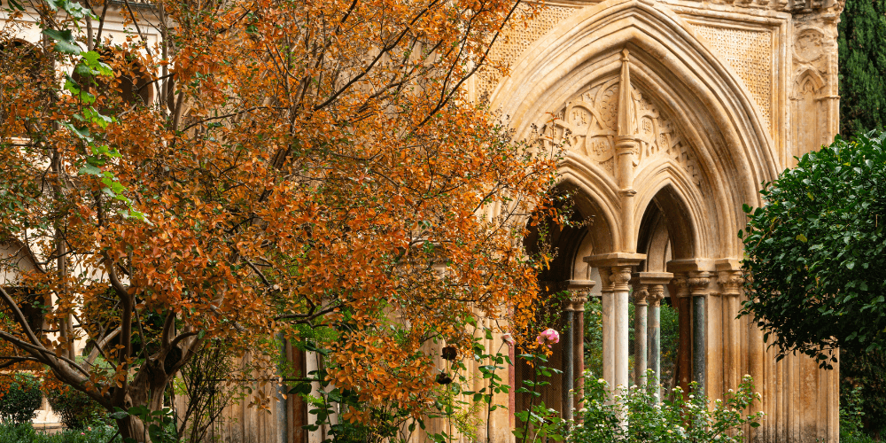A university with gothic architecture in the autumn