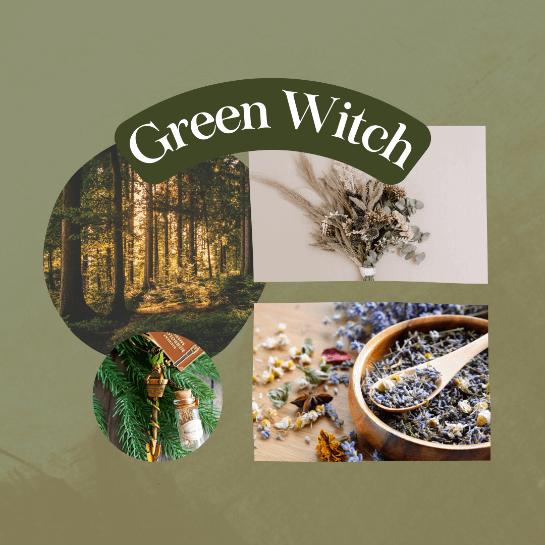 Green Witch images: herbs, trees in the forest, Herbology Key sold by LitJoy 