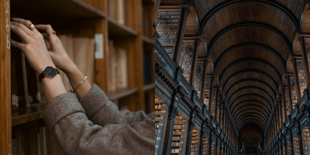 dark academia library