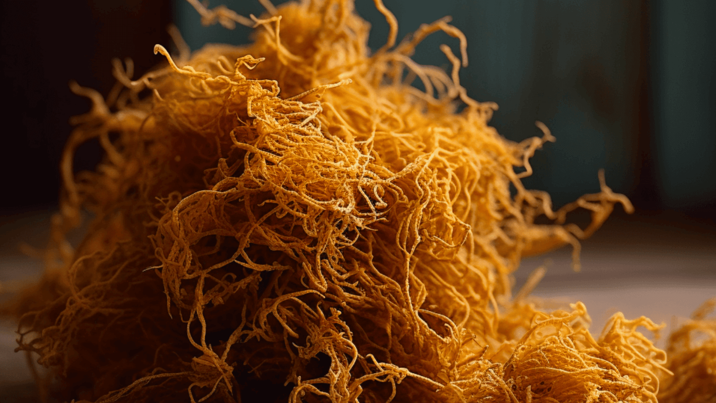dried golden sea moss
