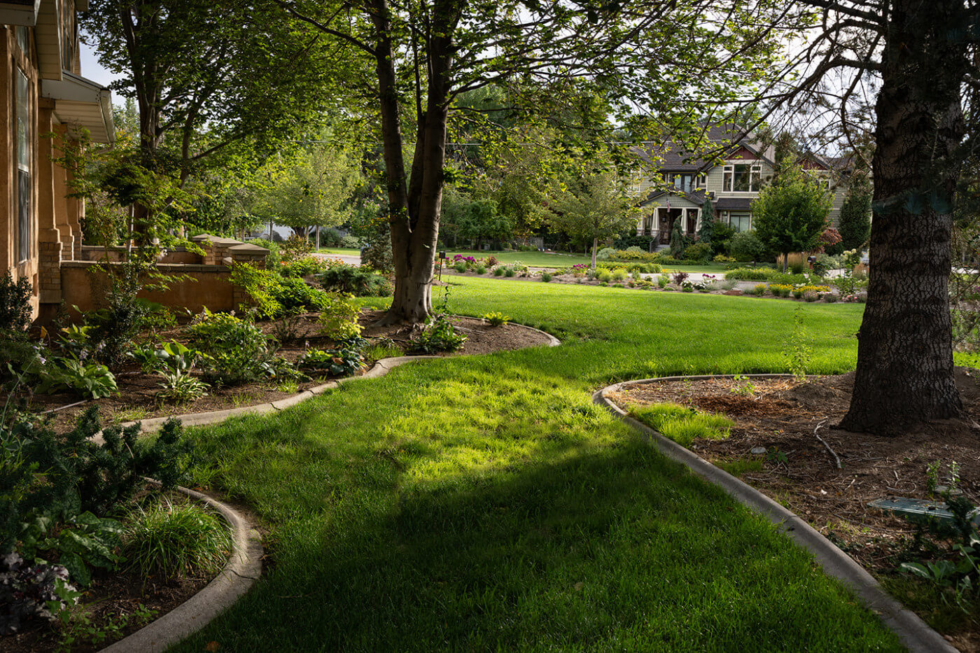 Janet's Yard design with open space