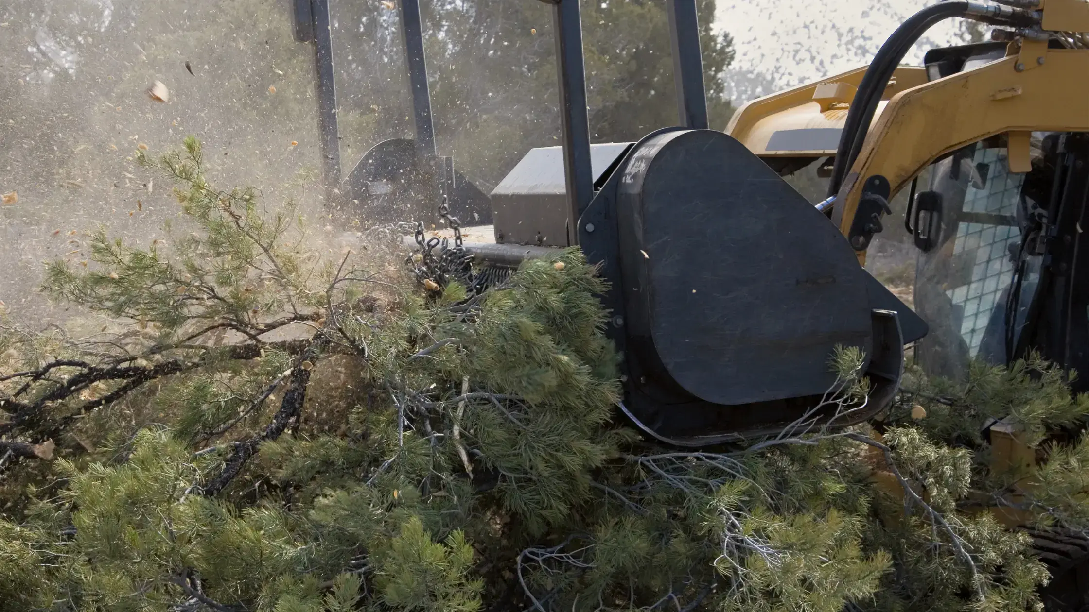 How Much Does a Skid Steer Weigh - Loader Carrying Fallen Trees