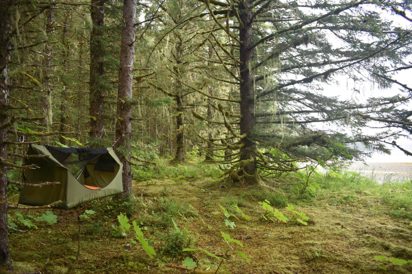 Best Stealth Camping Hammock Tent