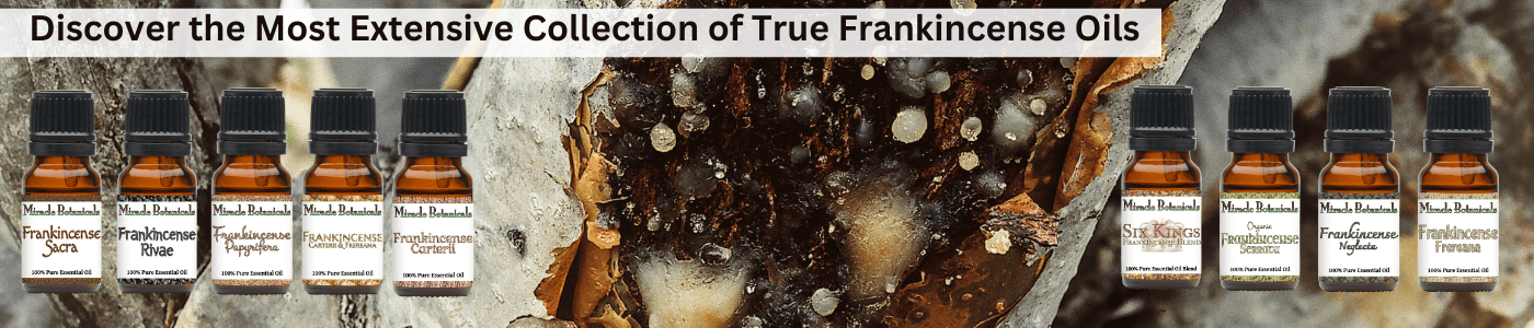 frankincense in the Bible