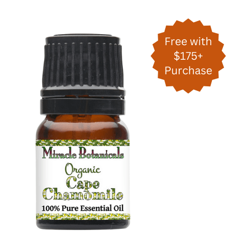 cape chamomile essential oil miracle botanicals
