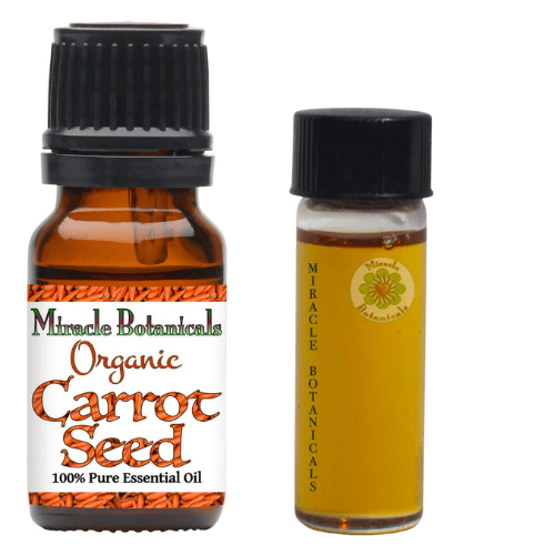 carrot seed essential oil miracle botanicals