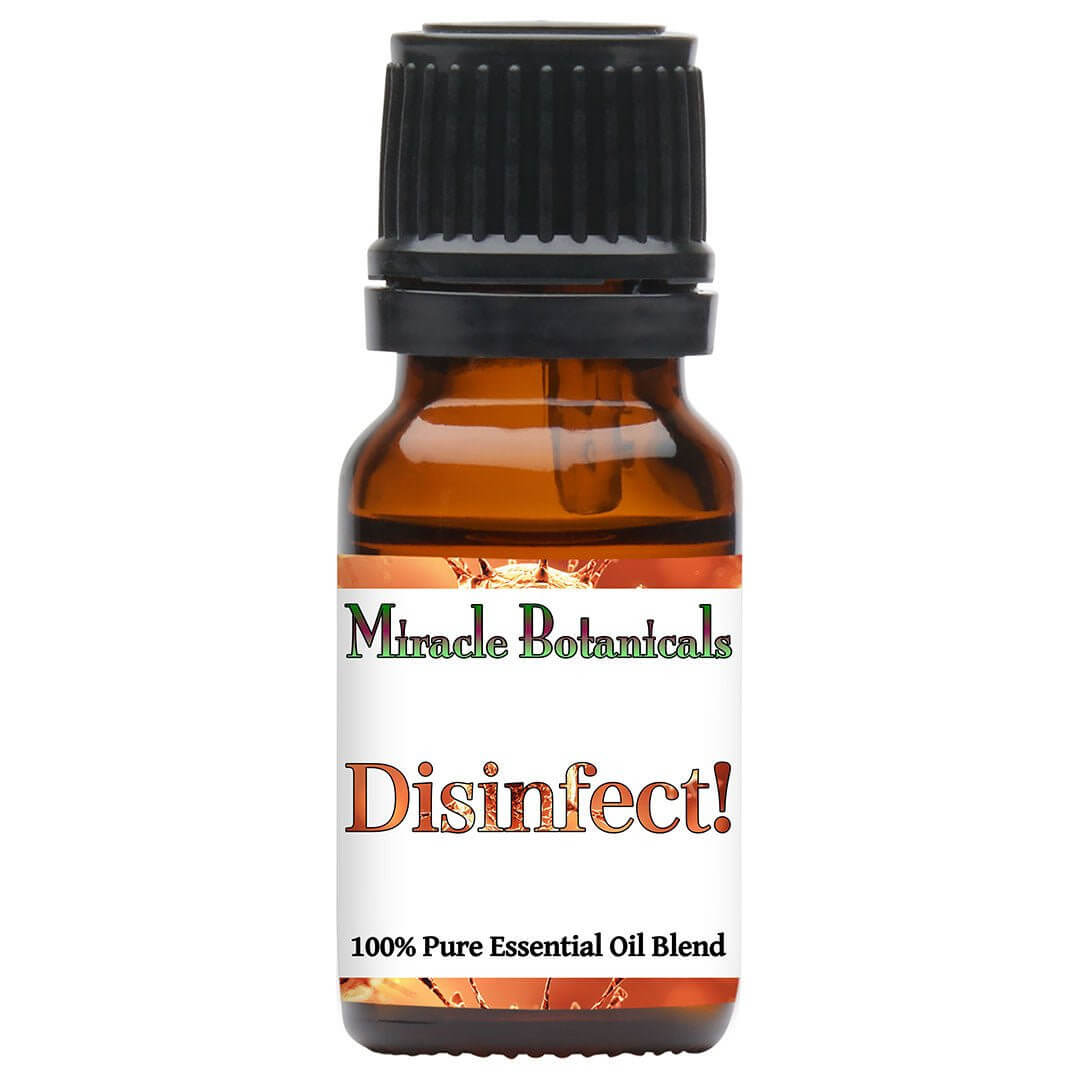 use of rosemary disinfect essential oil miracle botanicals