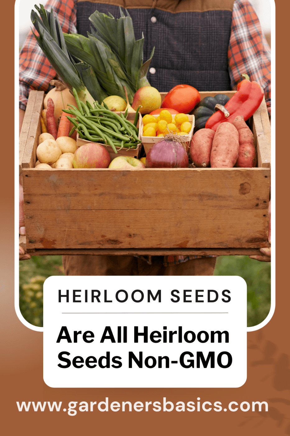 Are All Heirloom Seeds Non-GMO