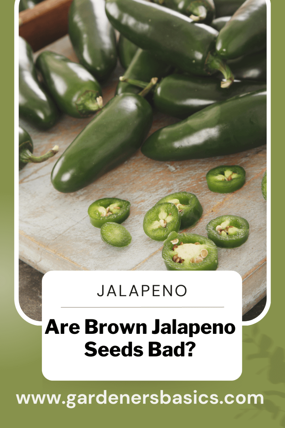 Brown Jalapeno Seeds