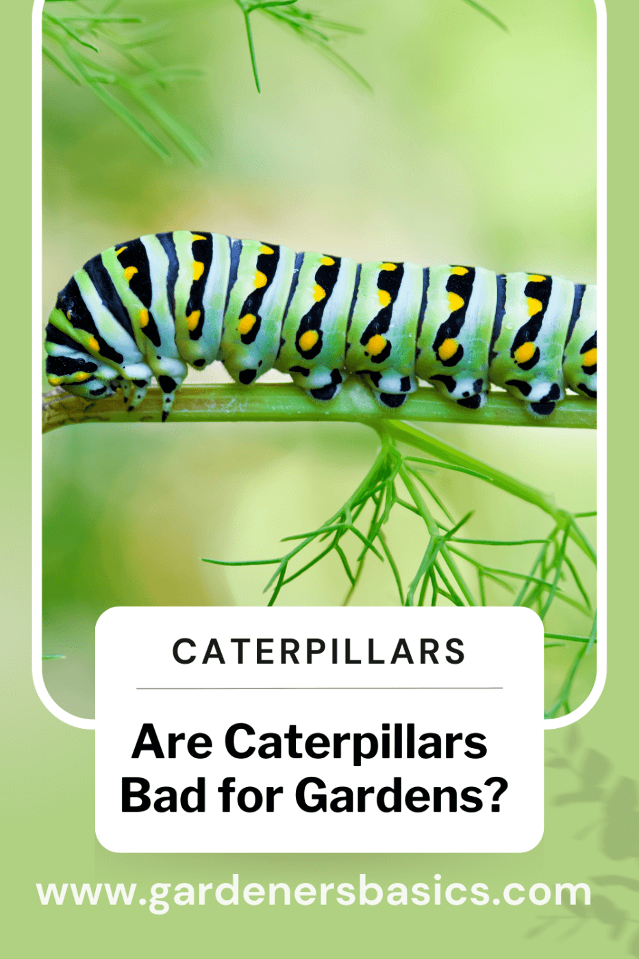are caterpillars bad for gardens