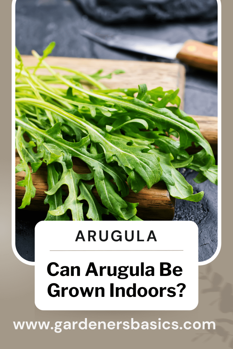 Can Arugula Be Grown indoors
