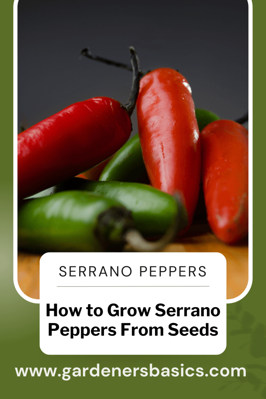 serrano seeds for planting