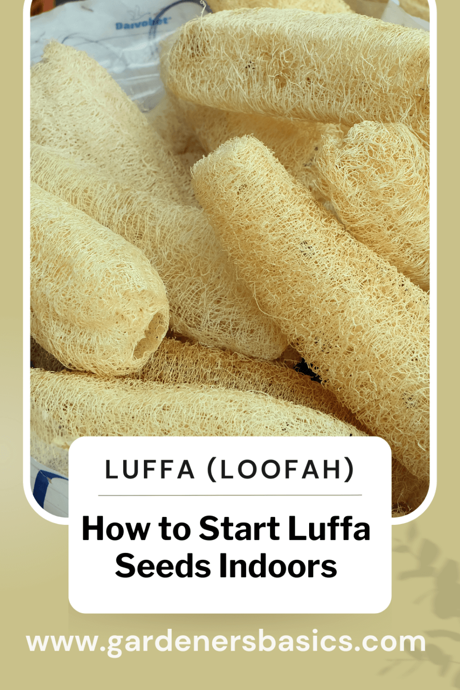 How to Start Luffa Seeds Indoors