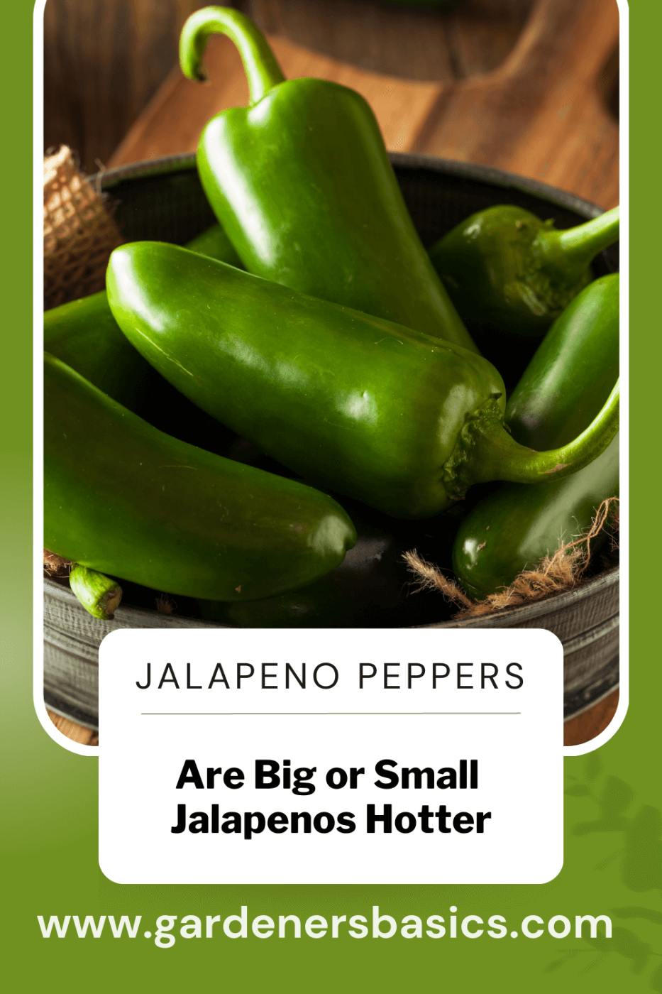 are bigger or smaller jalapenos hotter