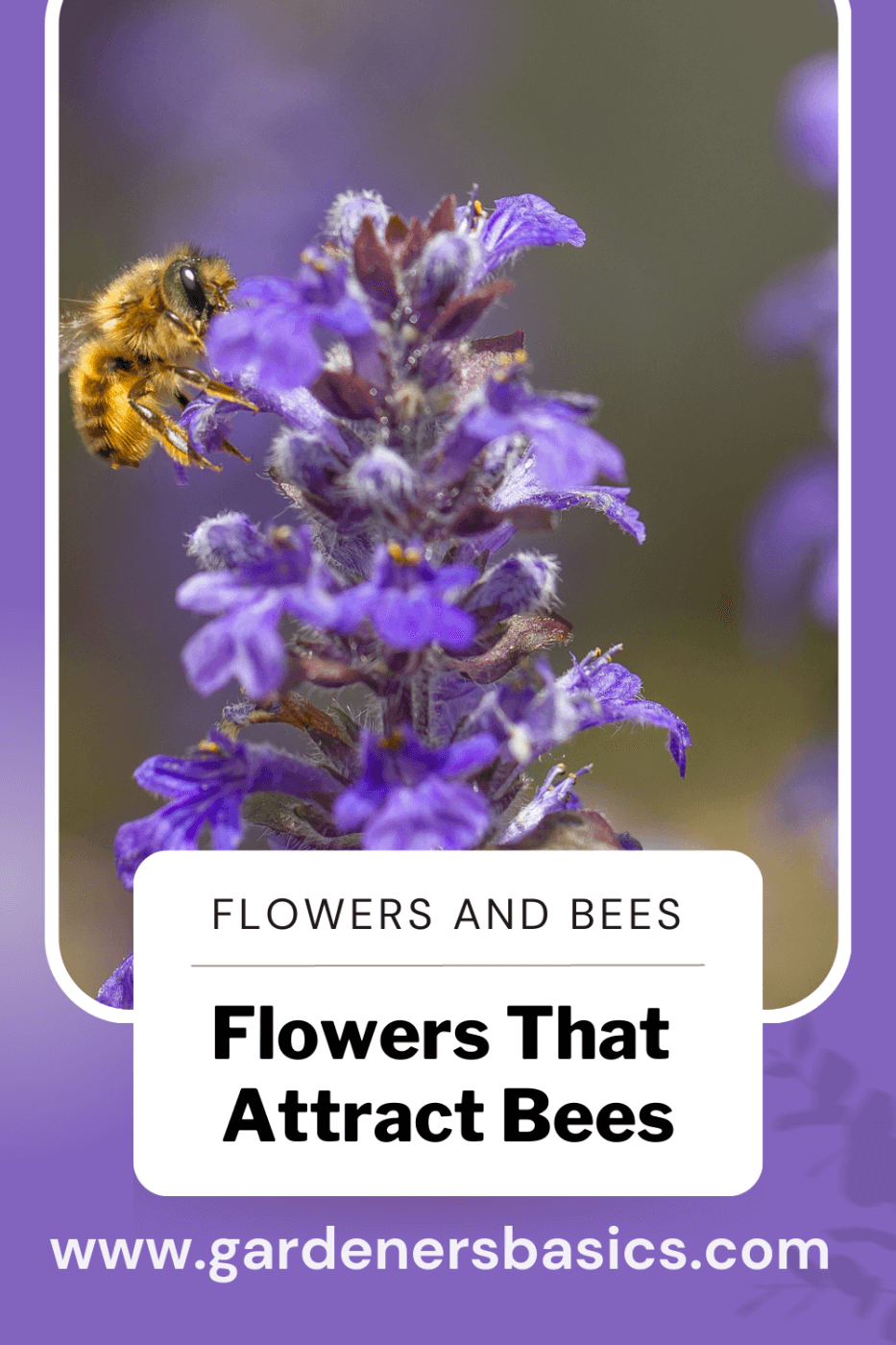 flowers attracting pollinators and bees