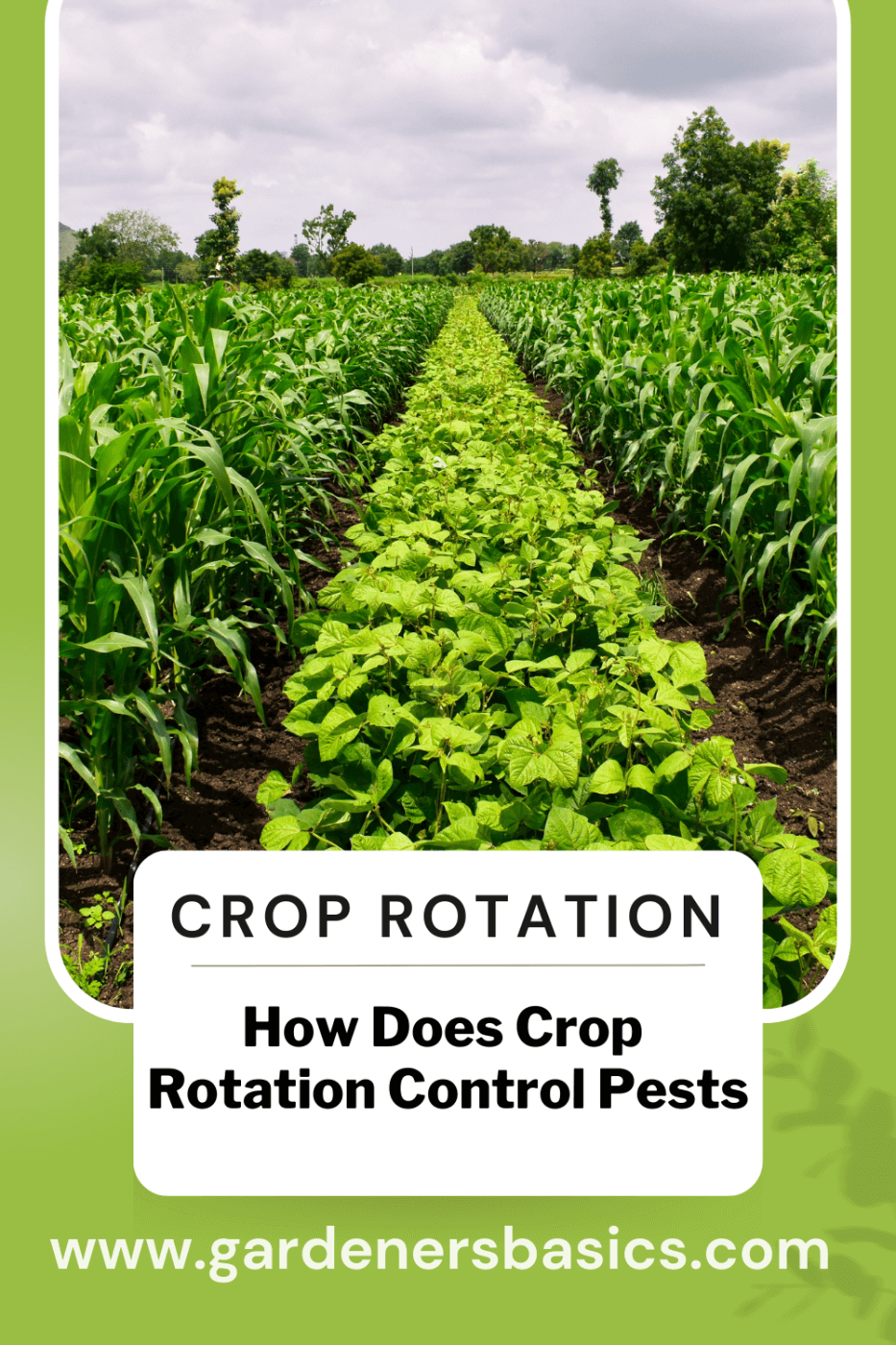 how does crop rotation control pests