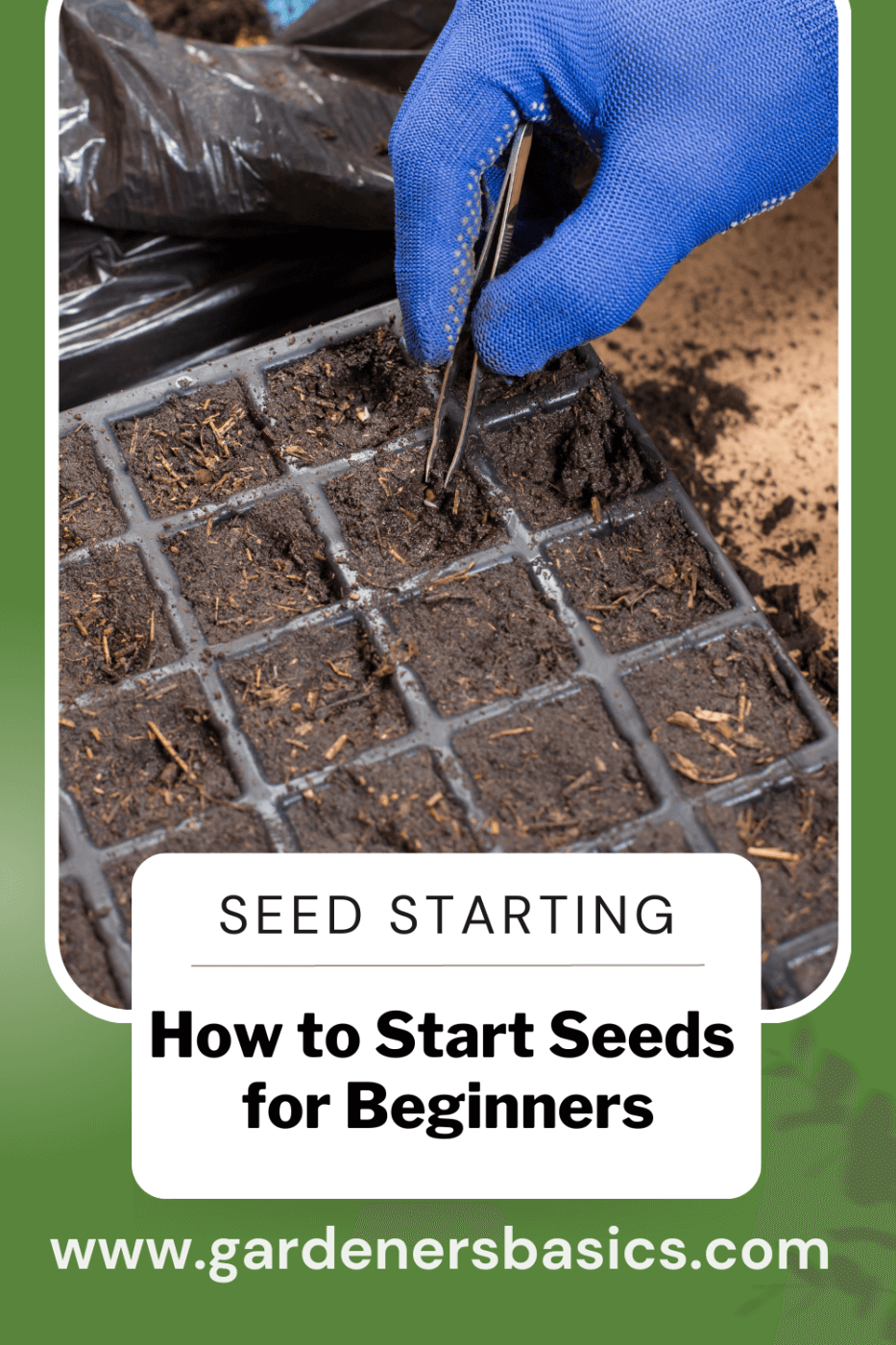 seed starting for beginners