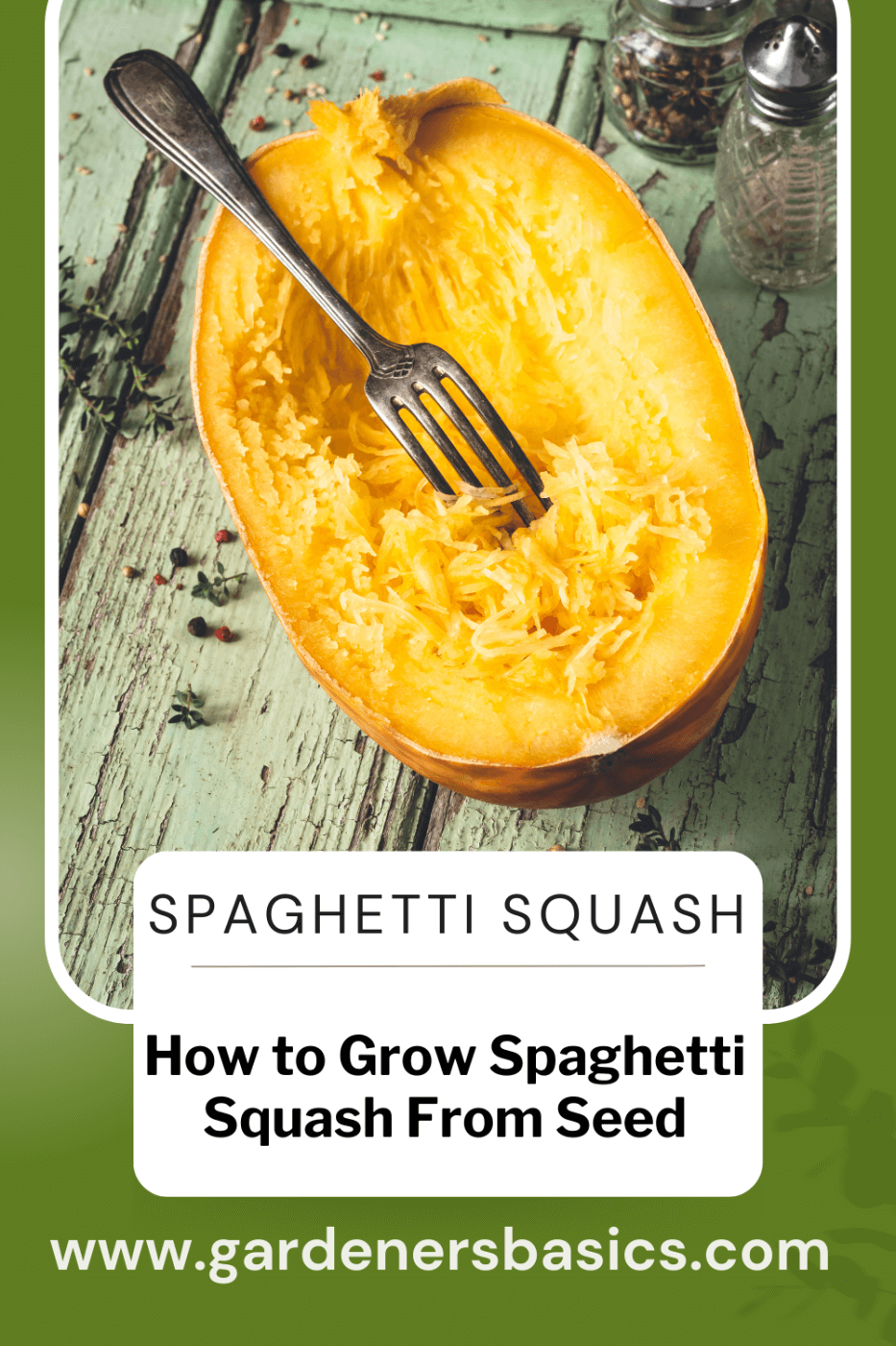 spaghetti squash seeds