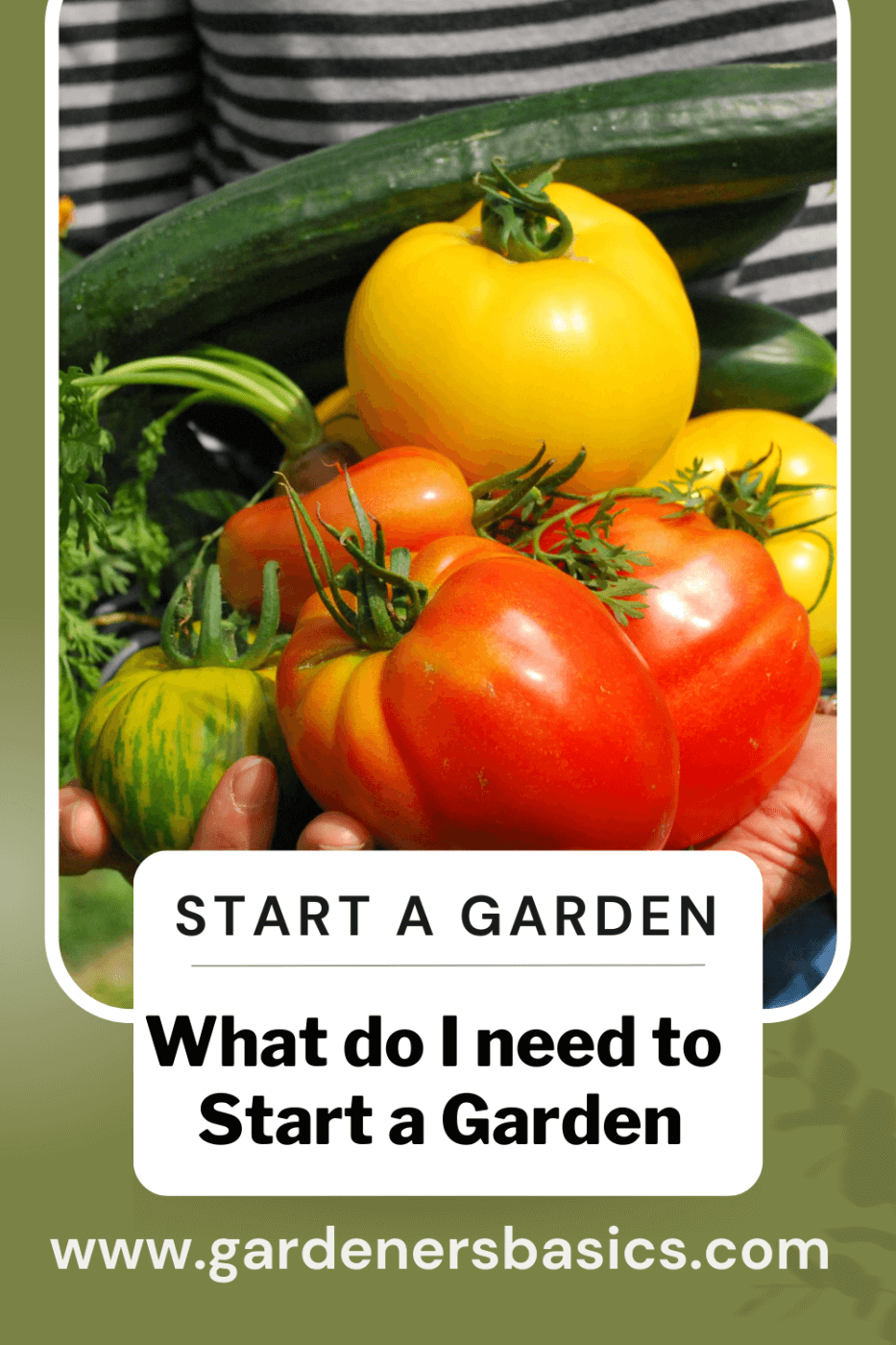 what do I need to start a garden