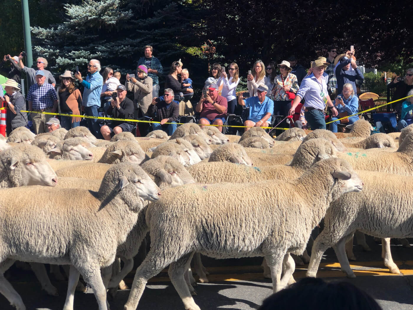 Trailing of the Sheep Festival