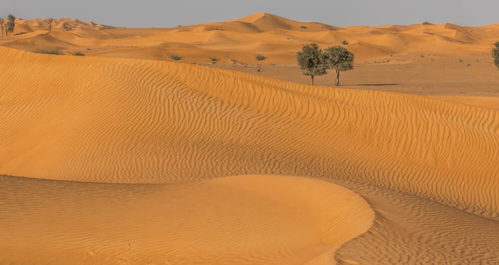 Ras Al Khaimah UAE Desert Safari